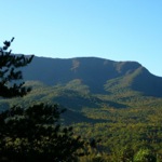 image08